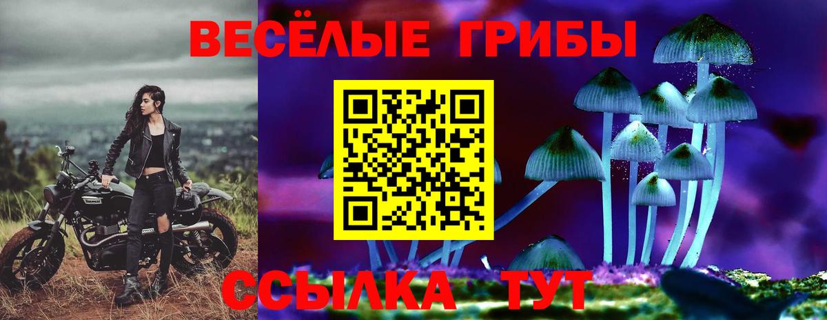 Долгопрудный  Псилоцибиновые грибы ЛСД  Вход с VPN 
